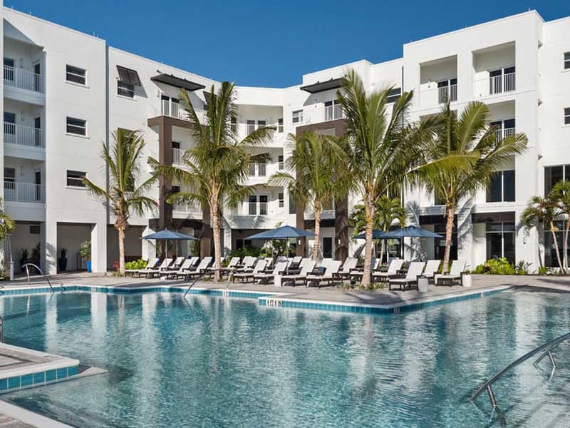 amavida pool, with chaise lounge chairs, umbrellas, palm trees, and residences in the background