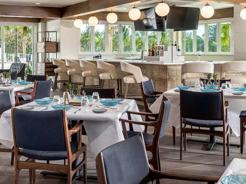 patio dining area at amavida, with bar and set tables