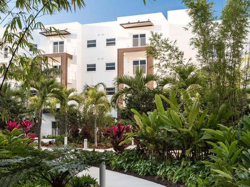 walking path surrounded by lush vegetation with residence in bacjground