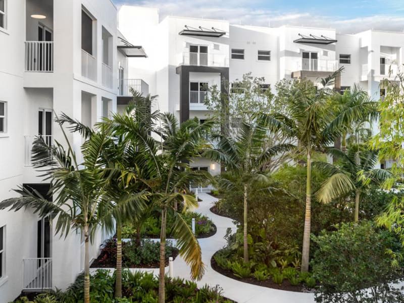 view of residence balconies overlooking courtyard with palm trees and walking paths
