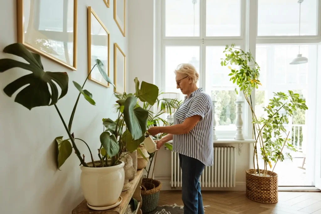 senior woman watering plants